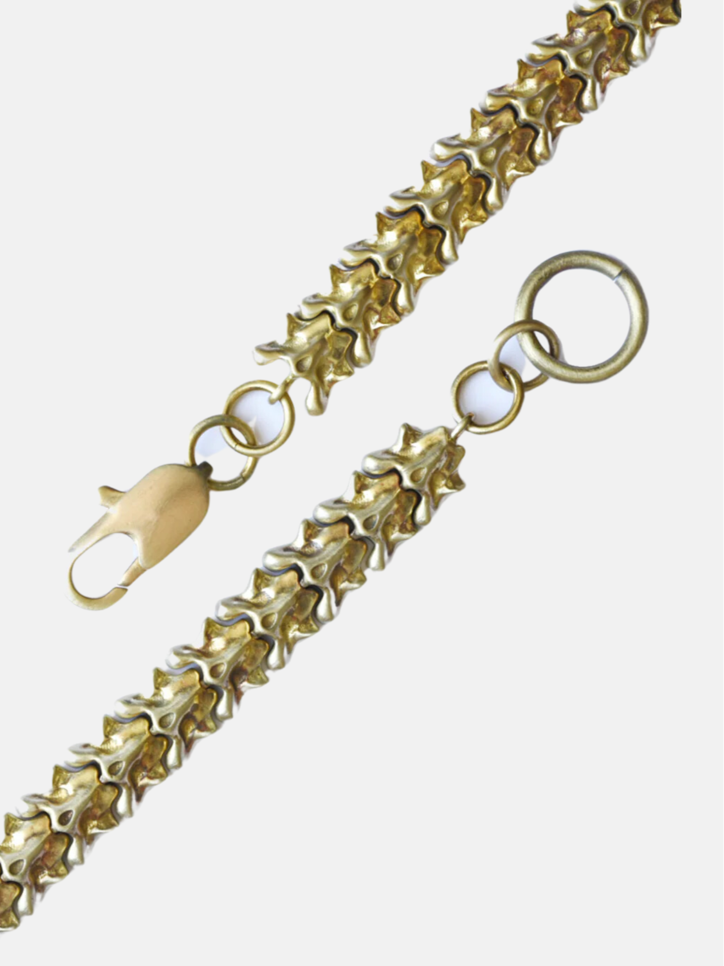 Curated Basics Vertebrate Chain Bracelet - Brass Men's Accessory Kempt Athens, GA Men's Shop