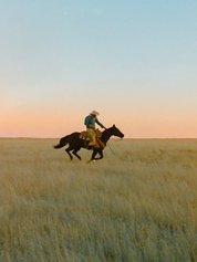 ranger station high horse candle citrus cedarwood hand poured wax whiskey cocktail glass kempt athens ga georgia men's clothing store