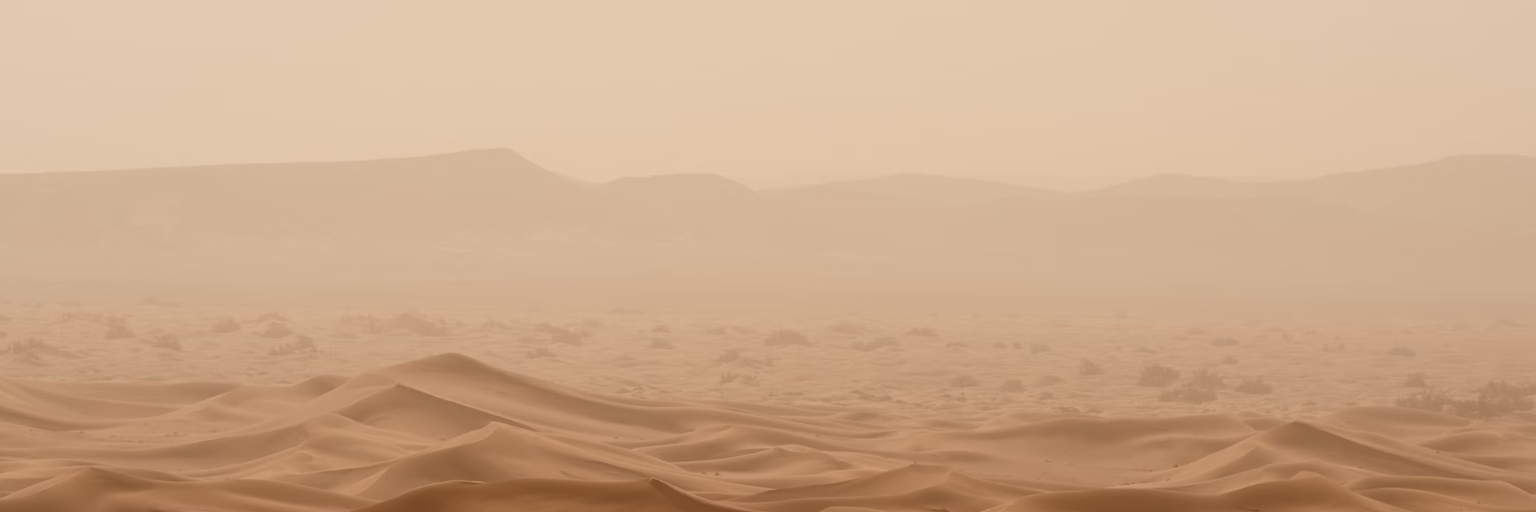 Desert Neutrals