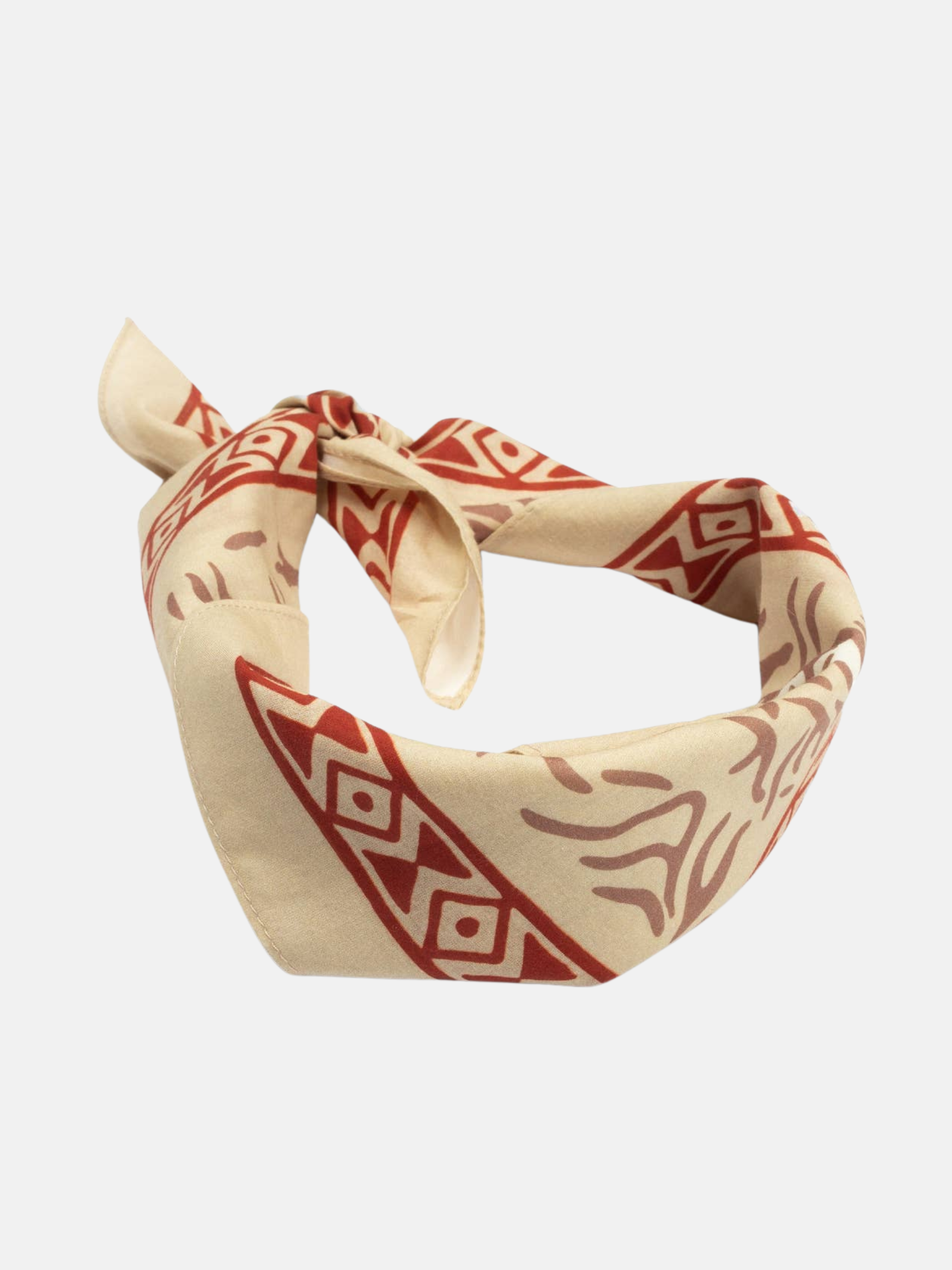 Sendero Provisions Desert Flush Bandana