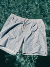 Marine Layer Lined Sport Swim 6” Inch Short Men’s Shorts for Men Spring Summer Aqua Agave Blue Green Print Athens GA Georgia Kempt Menswear Store Near Me