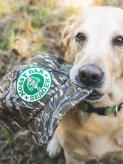 Seager X Mossy Oak Snapback