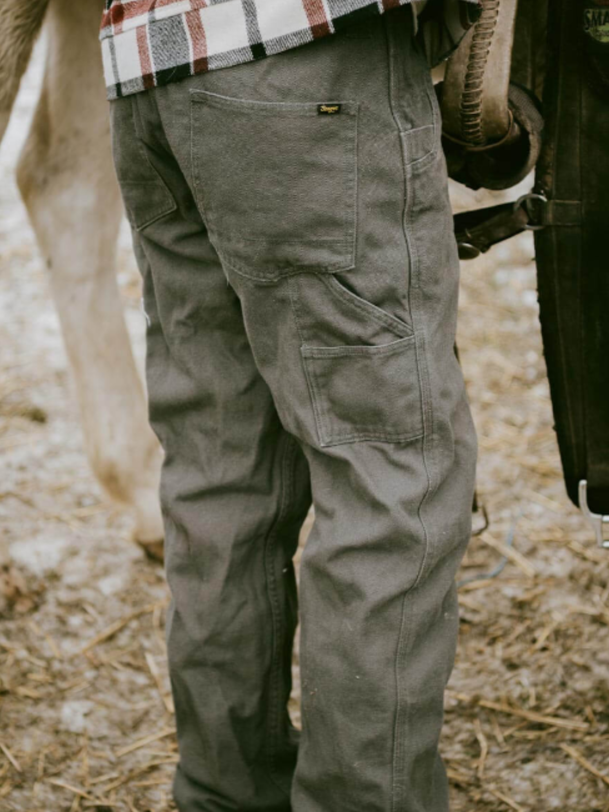 Seager Bison Canvas Pants - Darkwood