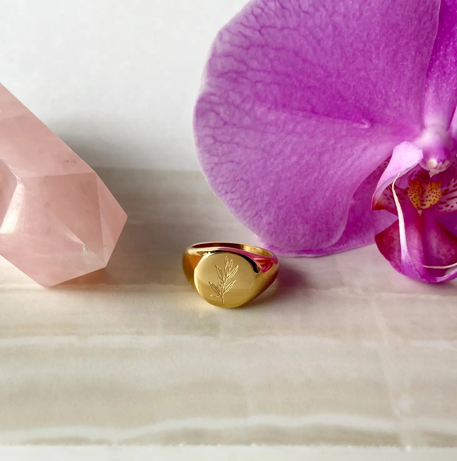 Olive Branch Signet Ring